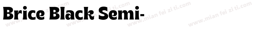 Brice Black Semi字体转换